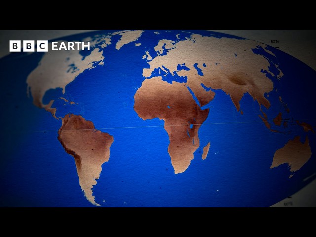 The Evolution of Human Skin Colour | BBC Earth Science