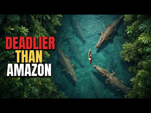 Why The Congo Basin is More Dangerous Than The Amazon