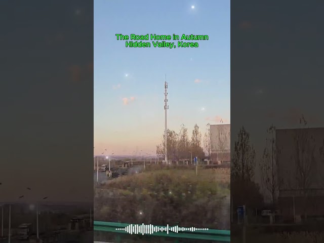The Road Home in Autumn | Relaxing Country Music | Hidden Valley, Korea | Sonogol Mountain 🌿🌊
