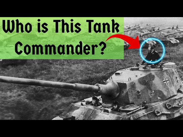 The Real Story of this King Tiger Footage