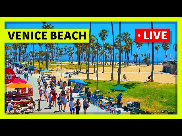 🔴 Los Angeles Live Cam · Venice Beach · Venice V Hotel · Live Camera Stream