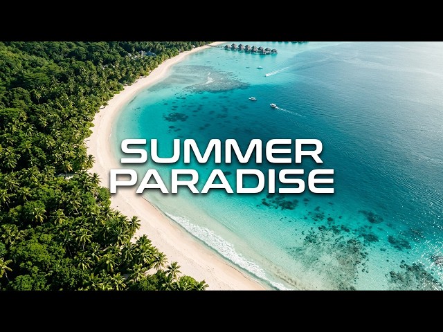 Ultimate Summer EDM Mix 🌴 2 Hours of Positive Vibes & Good Energy ☀️🎧