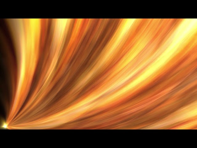 12 Hour Golden Sunbeams 4K Animated Wallpaper | No Sound