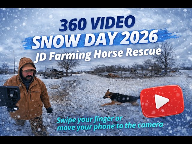 360 Vid Snow & Ice day 2026 | Horse Rescue Life