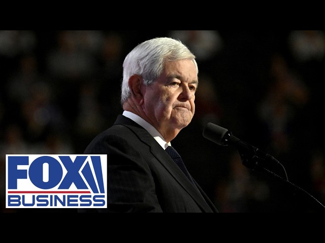 'VERY BIG CHOICE': Newt Gingrich frames the stakes of the midterms