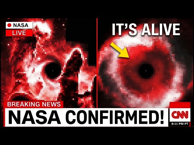 James Webb Just Saw The Pillars Of Creation One More Time - And What It Found Scares NASA