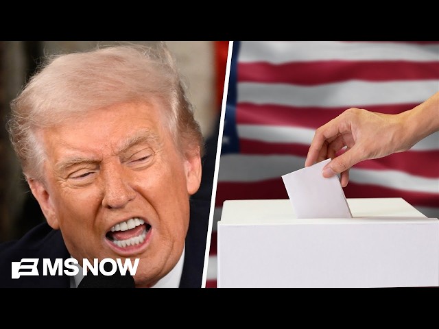 Trump is 'actively engaged in an election theft': Political strategist