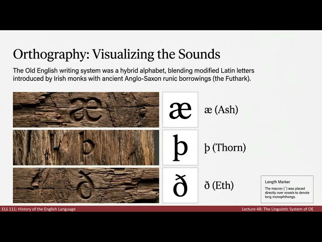 Lecture 4B Old English Linguistic Systems