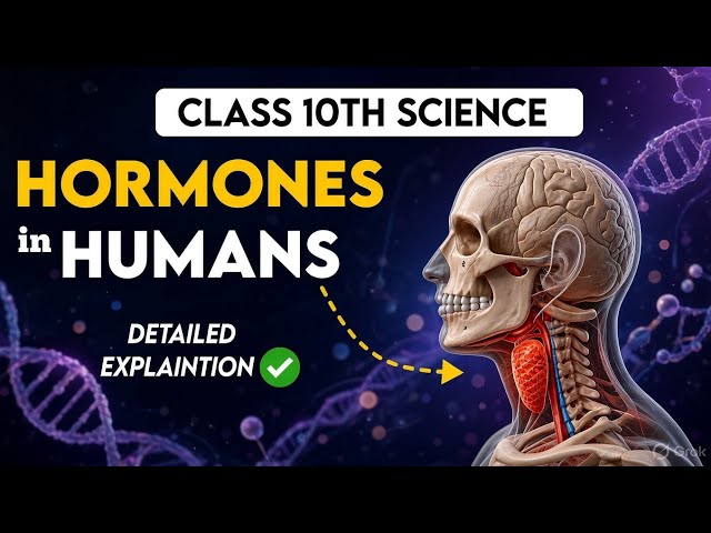 Hormones ( Animals ) | Detailed Explanation| Class 10th Science | Topic 01