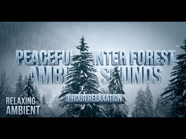 The Sound of Winter 🌲 Heavy Snow Falling on Silent Pines | Ambient Relaxation (1 Hour)
