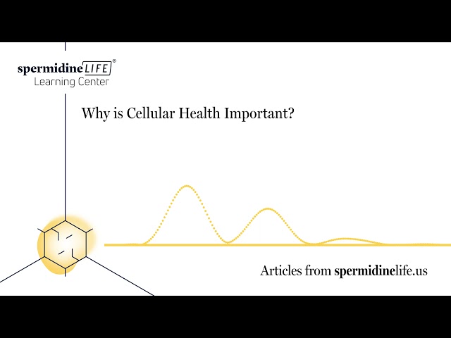 Why Is Cellular Health Important? | Cell Health | Explained in Detail