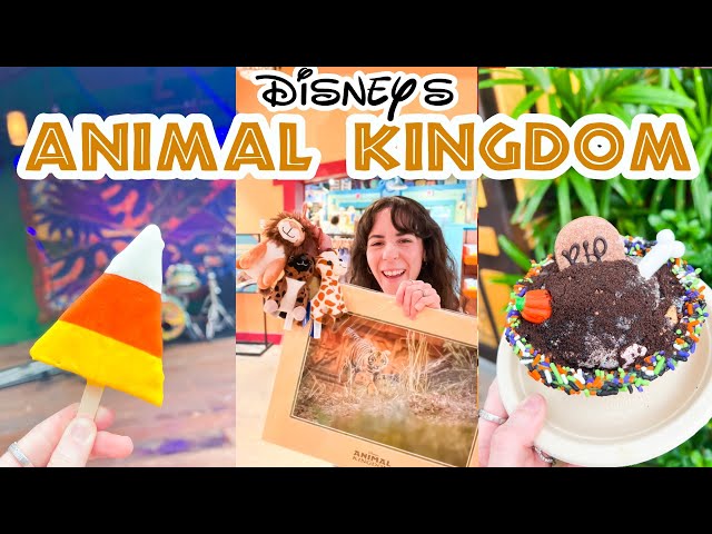 ANIMAL KINGDOM New Merch & Food Search! October 2026 | Walt Disney World | Disney Parks
