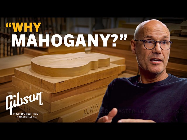 This is why your Gibson guitars are made from mahogany
