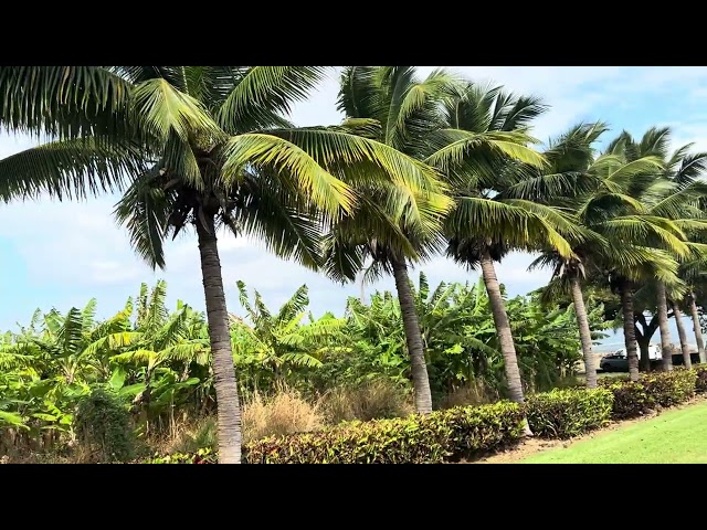 Vacation to Maui #hawaii #usa 