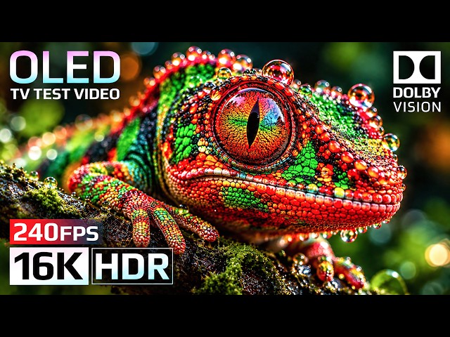 Most Stunning 8K HDR Video Test | Dolby Vision 16K HDR 120FPS Nature Video (4K/8K OLED TV Demo)