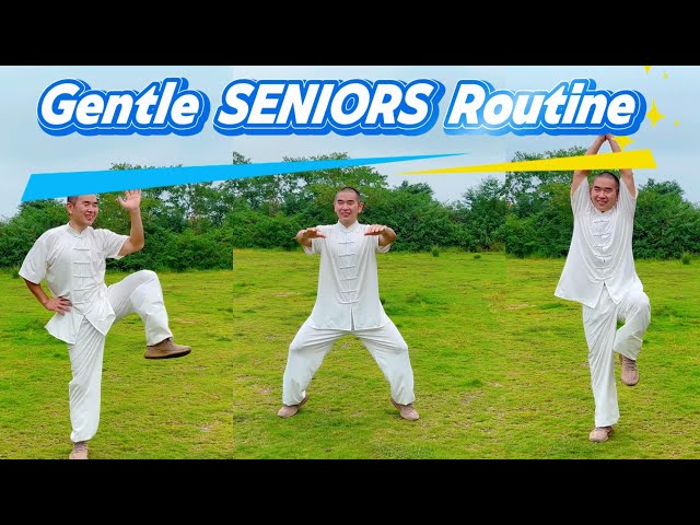 [Routine  31] 🔥 Gentle EXERCISE Routine For SENIORS To Boost Energy And Mobility