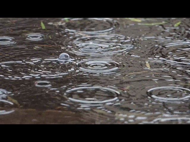 Relaxing Rain - 8 Hours - light rain sounds for meditation, study, sleep aid