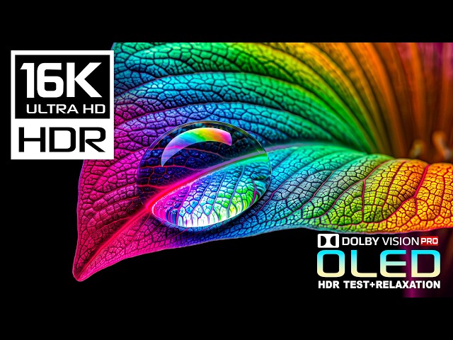 Clarity Beyond Reality OLED Test | 16K HDR 120fps Dolby Vision | 8K/4K Video ULTRA HD TV