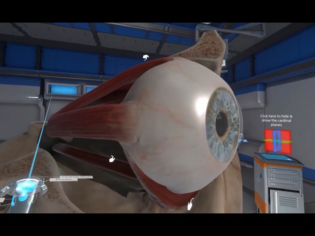 The Human Eye Anatomy in VR with Chapters and Testing #vr #eye #opthalmology