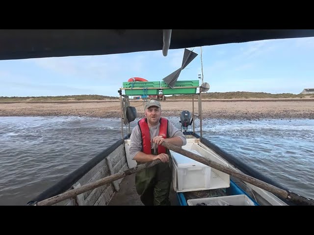 Another self launch. Gulls feeding like mad! 3 shoots of the nets last of ebb and flood tide.