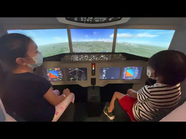 Virtual World Pilot Flying Plane During Covid-19