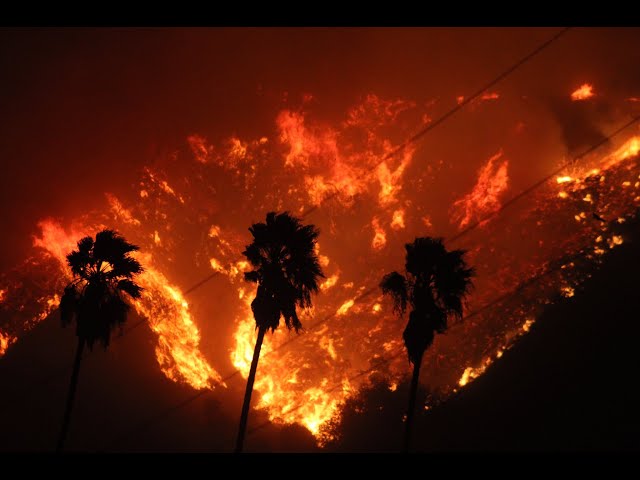 Thomas Fire Stories - Scott Quiararte, Mike Weisenberg & Todd Leake VCFD