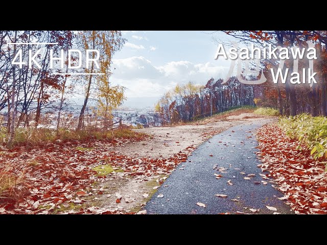 Chill Autumn Hill Walk on Dry Leaves in Asahikawa, Hokkaido, Japan | 4K HDR