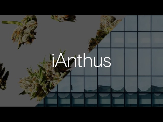 Building Craft Cannabis at Scale in New York With iAnthus Cultivators Chad Salute and John Butcher