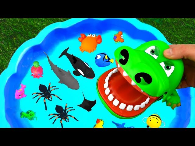 NEW Shark Dinosaur Whale Duck Toy Figures Unboxing!