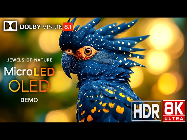 JEWELS OF EARTH | Ultimate OLED Demo in 8K HDR | Dolby Vision™ | 60FPS
