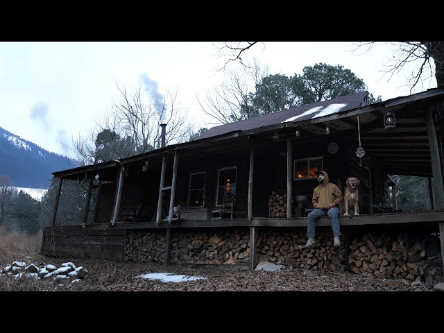 I Quit My Job to Build a Remote Cabin (No Turning Back)