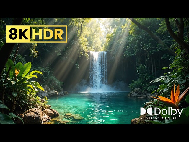 MOST STUNNING 8K HDR VIDEO YET | DOLBY VISION 60FPS FOR 4K/8K TVS