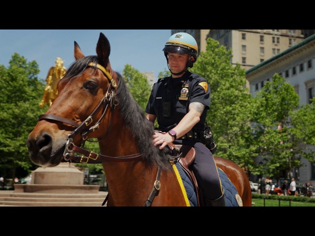 🐴 From Rescue Horse to "Neigh-borhood" Officers - ASPCA Public Service Award 2026