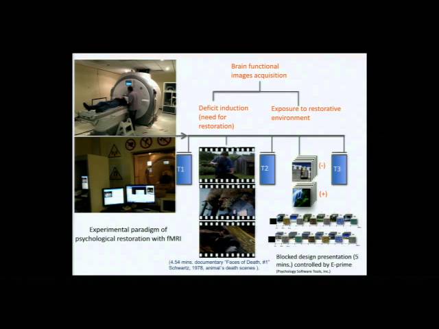 Joel Martinez-Soto: Neural Responses to Restorative Environments - An Eye Tracking and fMRI Study