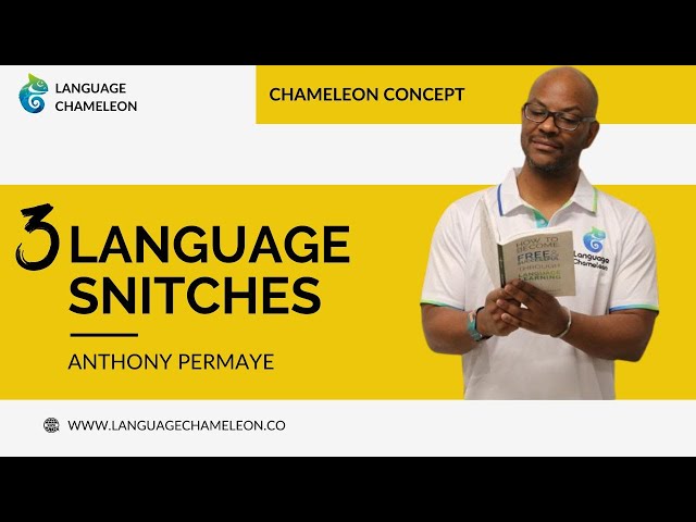 Basics to Fluency: The Power of Daily Language Practice | Expert Tips and Tricks |Language Chameleon