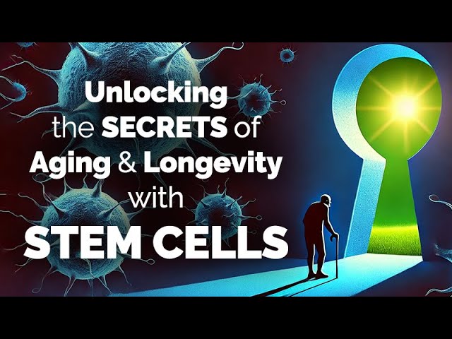 Unlocking the Secrets of Aging & Longevity with Stem Cells