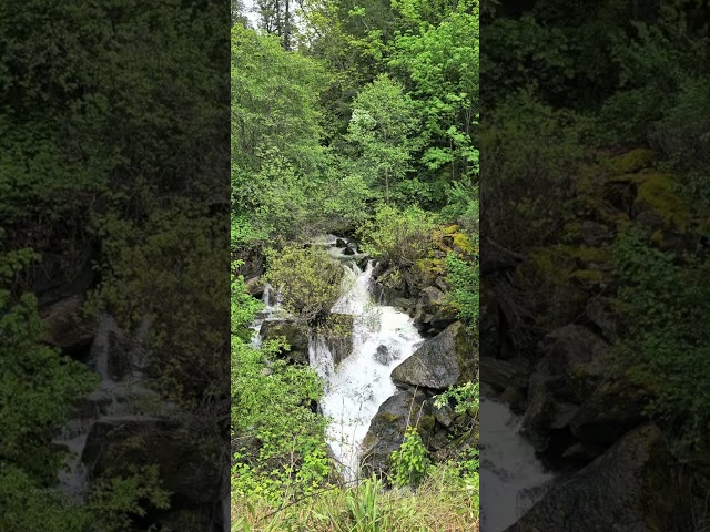 Wood leaf Falls