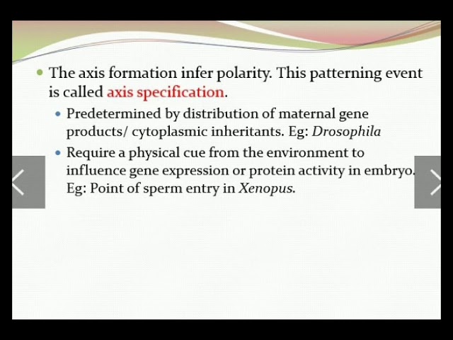 Pattern formation