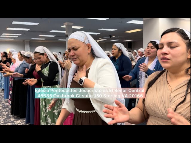 Sólo déjeme adorarle Hermna Delia Coros de fuego/ Alabanzas de adoración #fe #church #prayer 