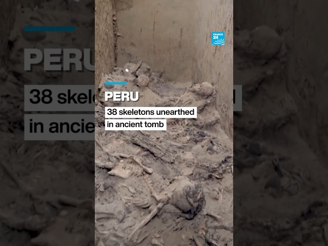 Peru: 38 skeletons unearthed in ancient tomb • FRANCE 24 English