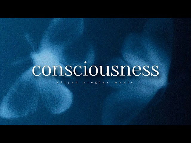 Elijah Siegler - Consciousness