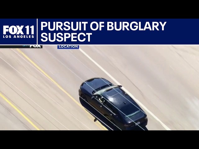 LAPD in pursuit of alleged burglary suspect