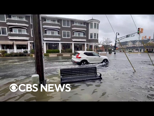 Watch: Videos show aftermath of nor'easter as streets flooded, events cancelled