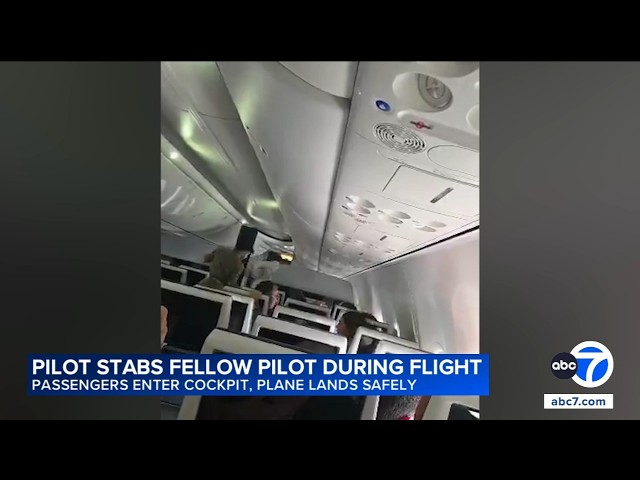 Tel Aviv flight passengers fight off attempt to crash plane after pilot stabs copilot