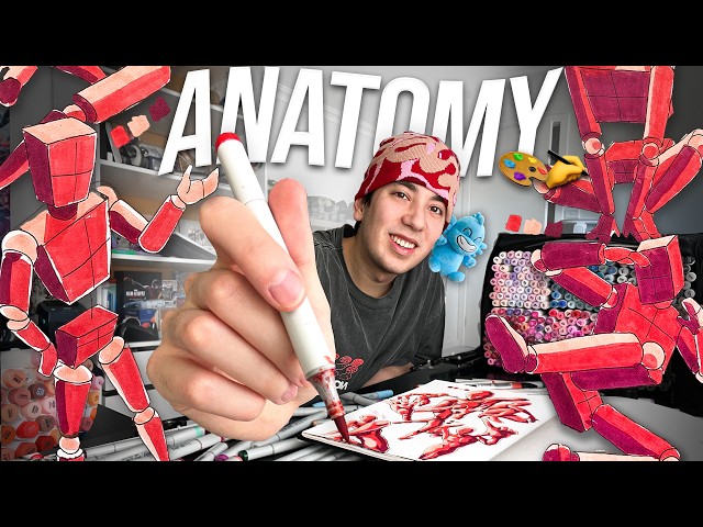 How to ACTUALLY Learn ANATOMY in 2026!! 👀🎨