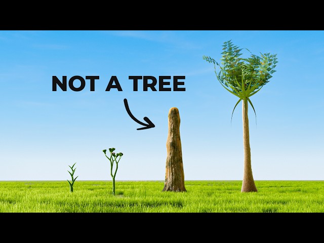 The Weird Evolution of Trees