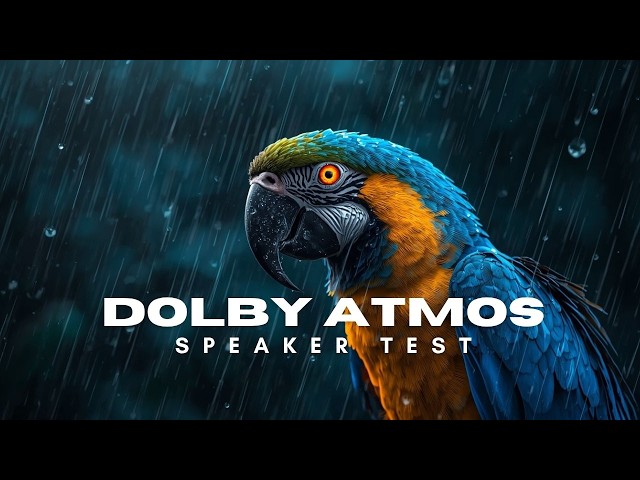 Test Your Speakers with Dolby Atmos | Accurate Audio Calibration