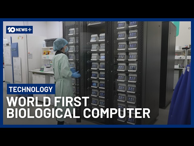 Scientists Are Creating The World’s First Biological Computer In Australia | 10 News +