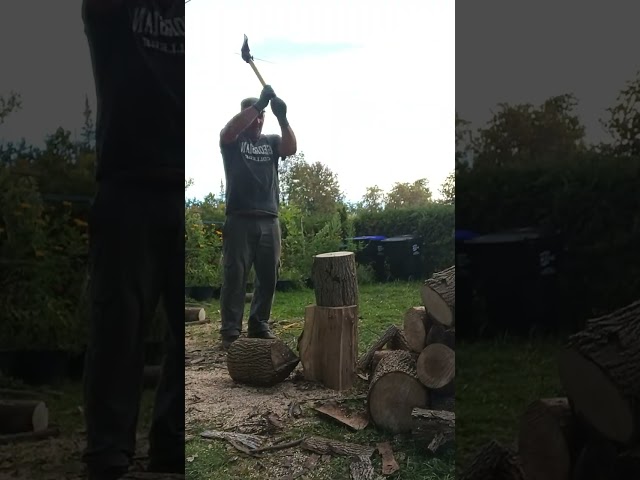 Splitting Firewood 