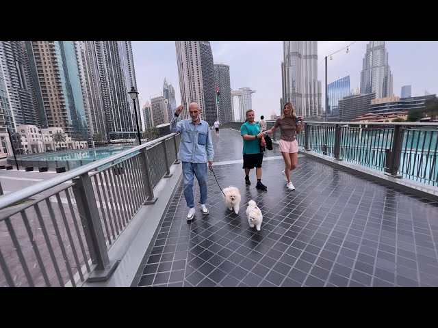 Barking, anxiety, insecurity, obsessiveness (Part 2, The Street)